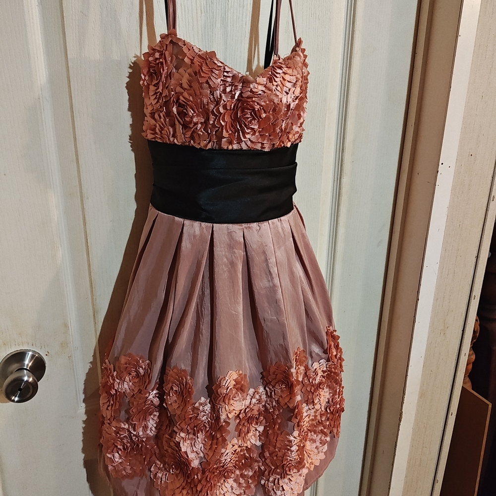 Elegant Pink and Black Dress